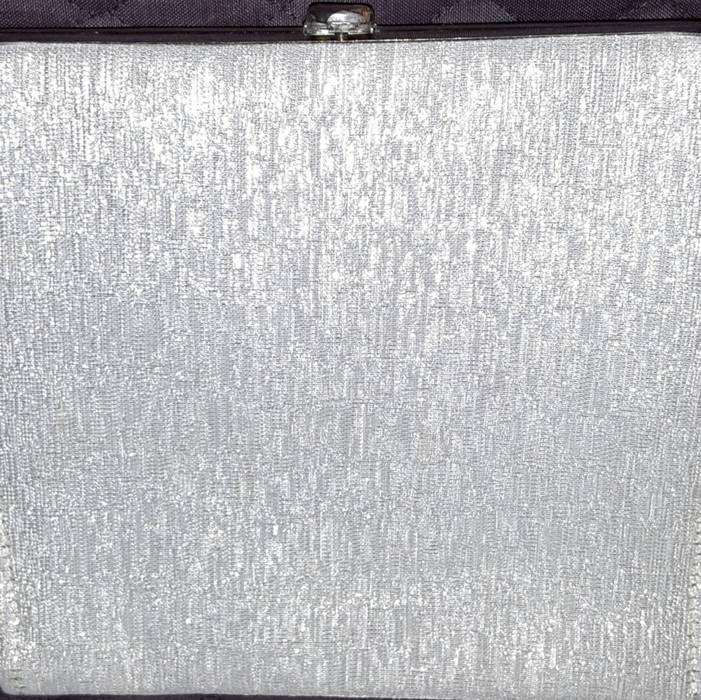 Vintage Shimmering Silver purse/clutch